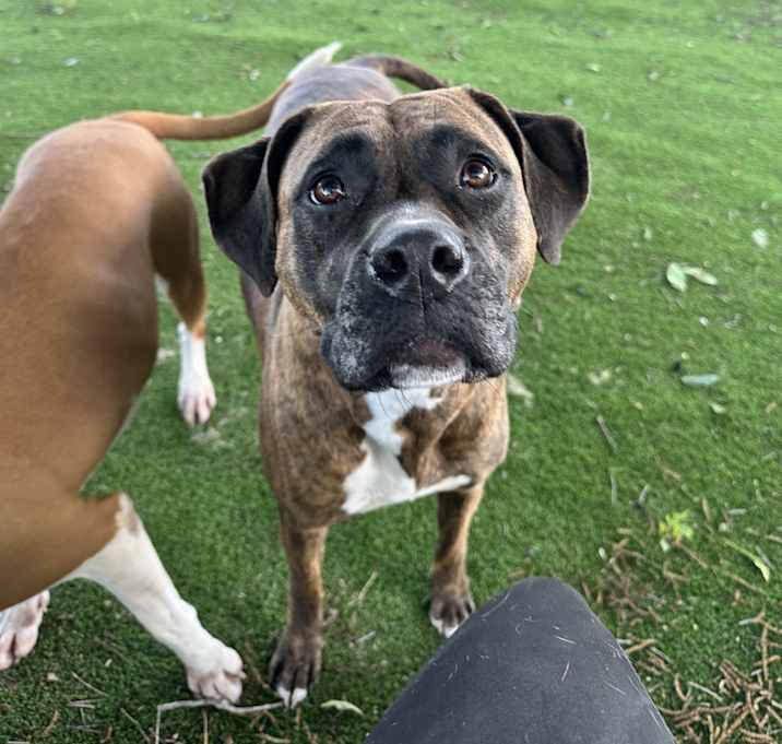 Photo of Pretty Girl