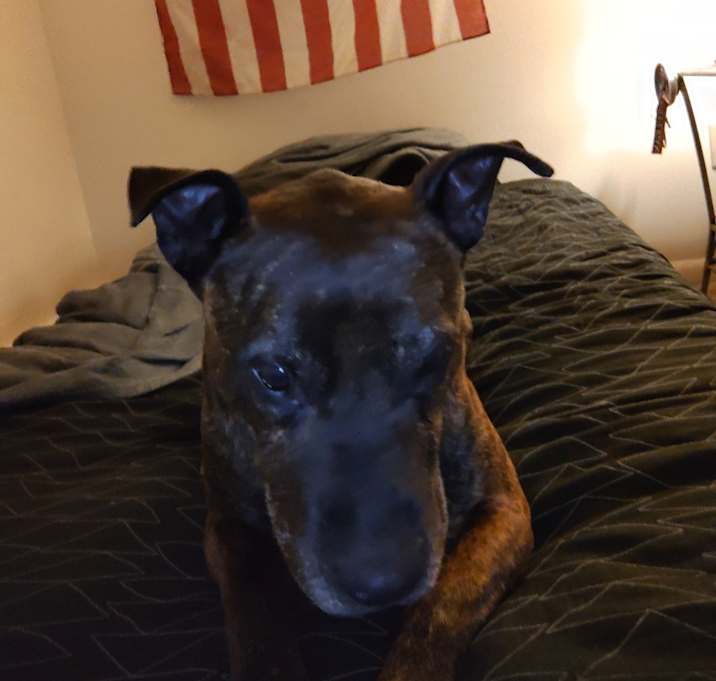 Photo of Tobi
