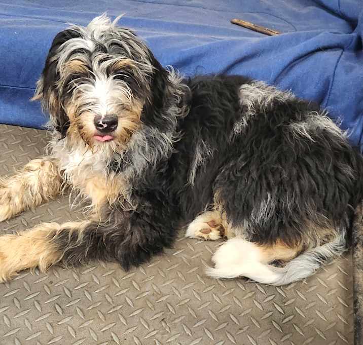 Photo of Parker