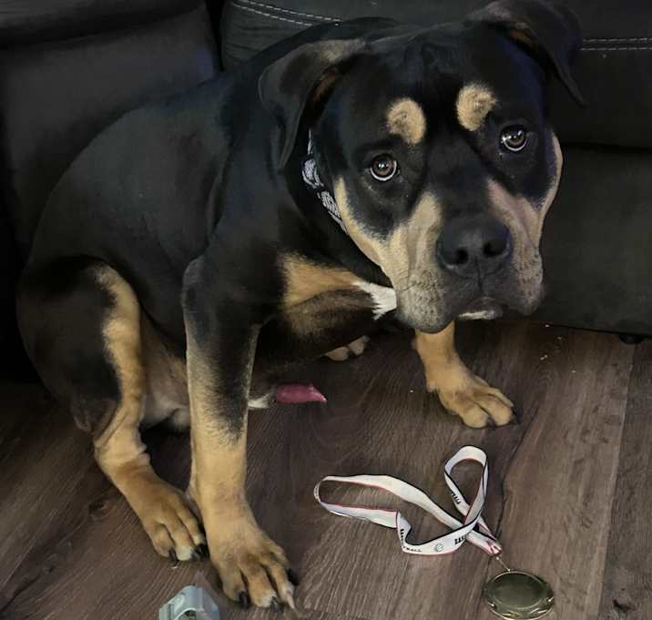 Photo of Kimber
