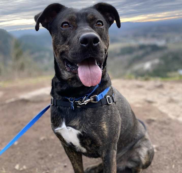 Photo of Leo