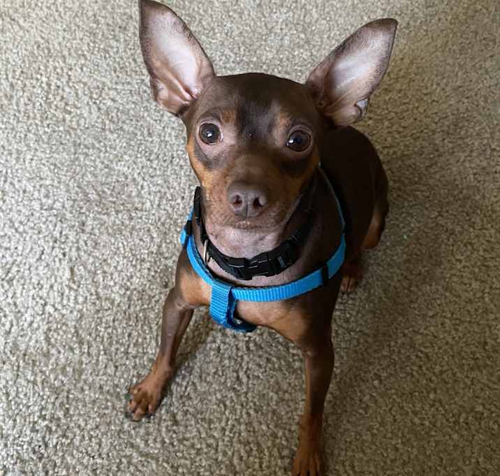 Photo of Tunechi