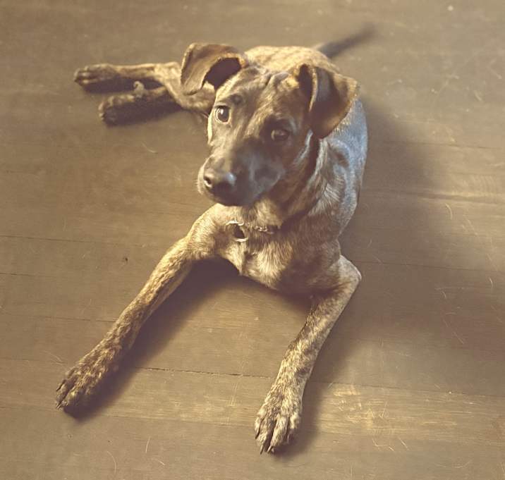 Photo of Ellie