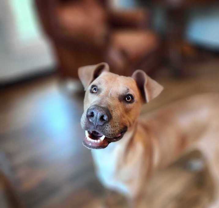 Photo of Churro