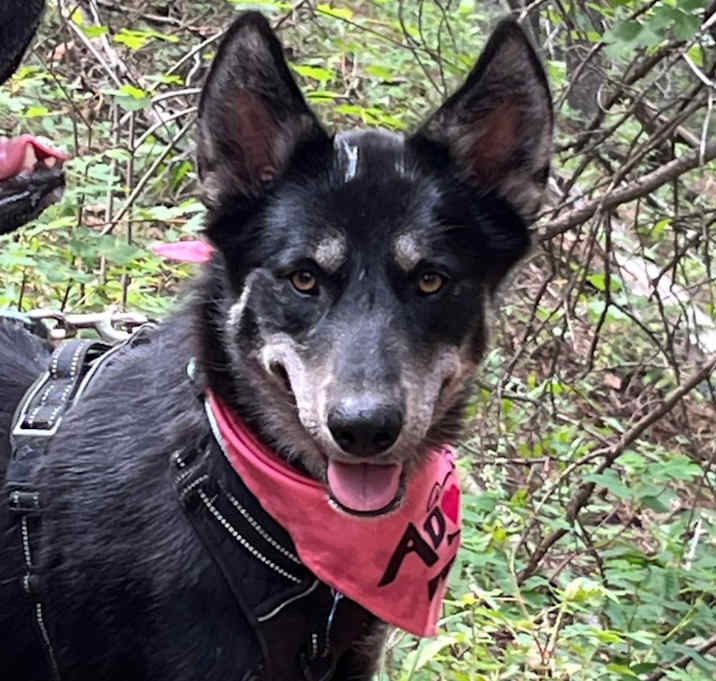 Photo of Ada