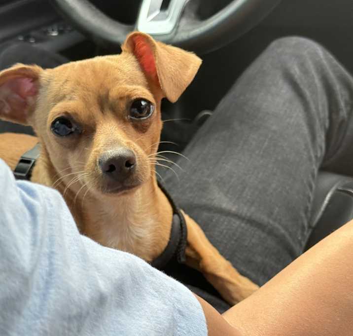 Photo of Pablo