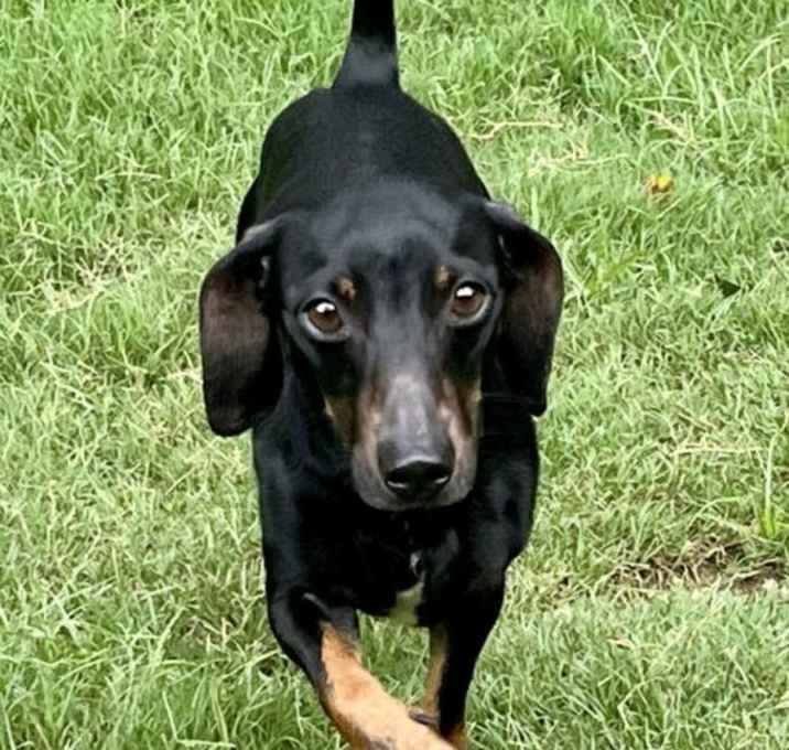 Photo of Peppi