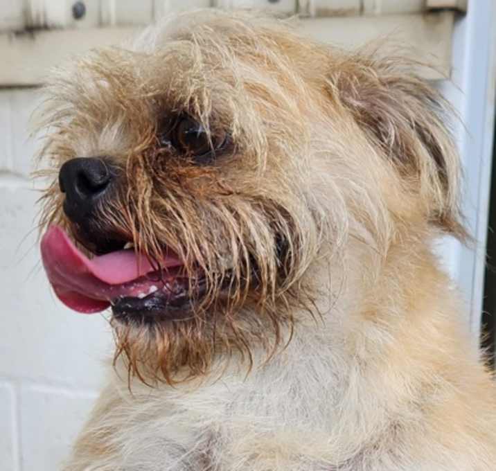 Photo of Peanut