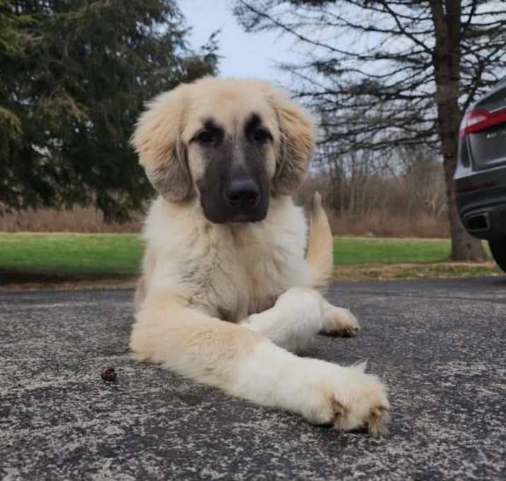 Photo of Malachi