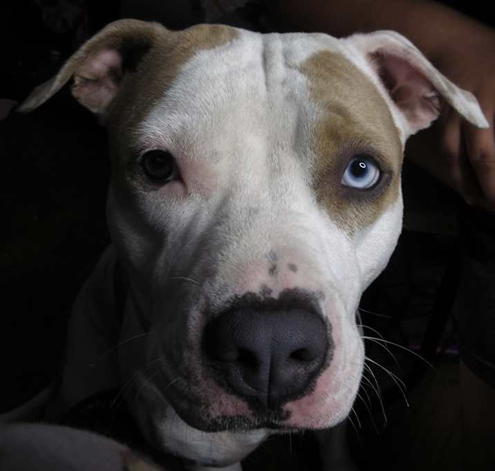 Photo of Koba Elaine