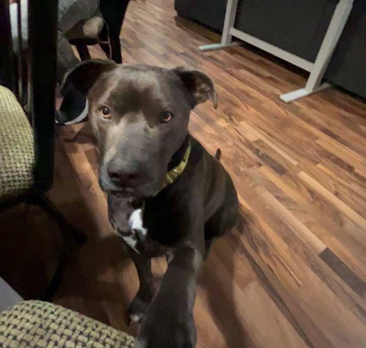 Photo of Nox