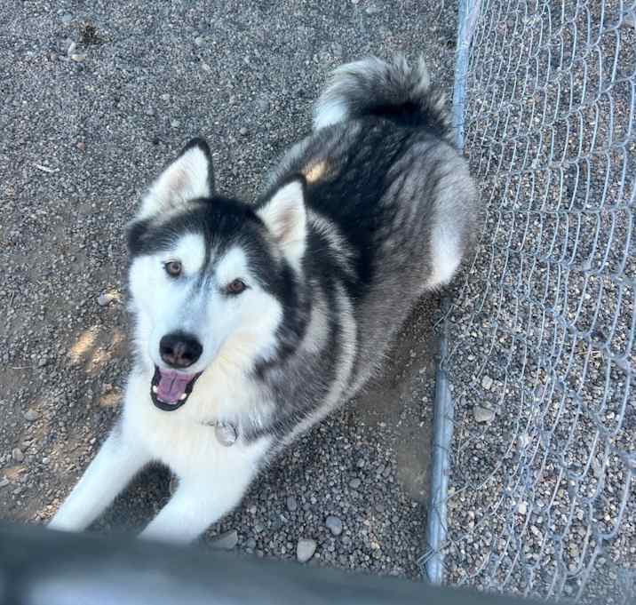 Photo of Captain