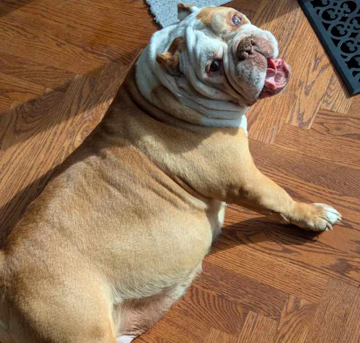 Photo of Rita