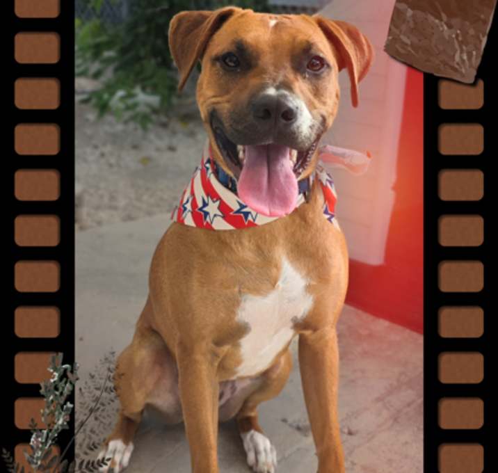 Photo of Ace