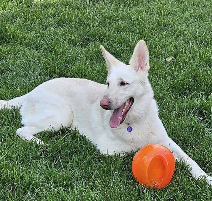 Photo of Gia