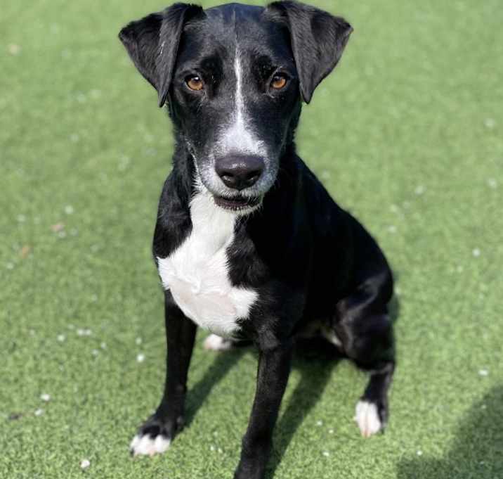 Photo of Kiko AKA Milo