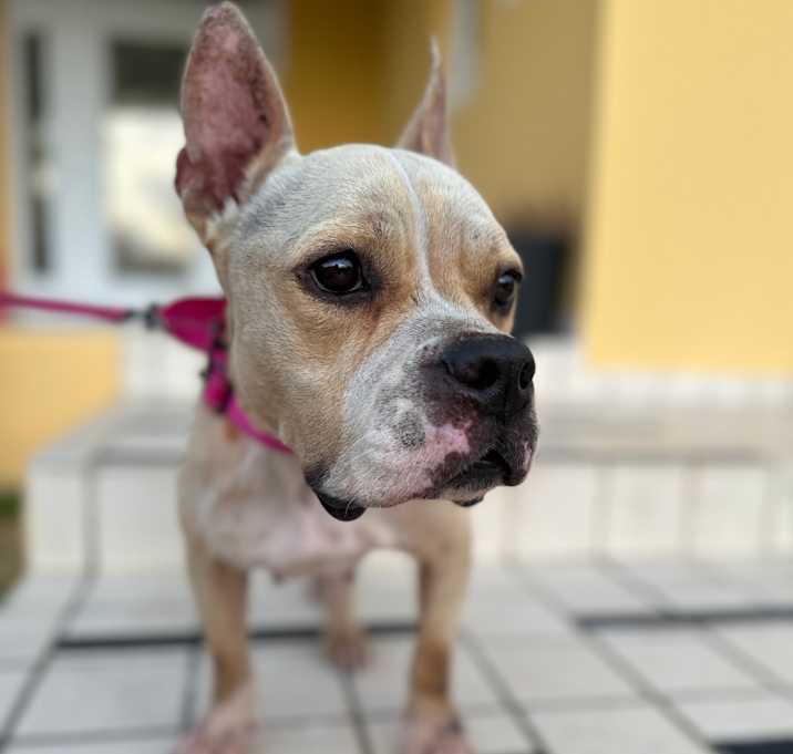 Photo of Hope