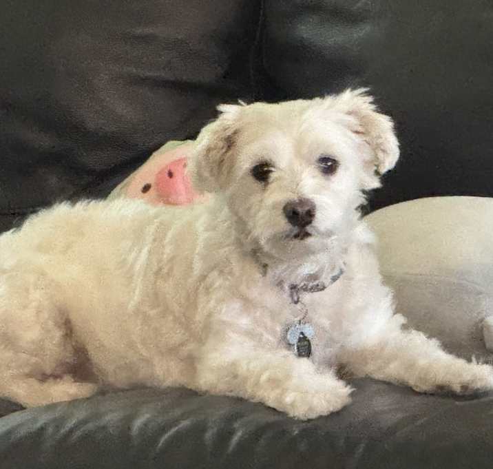 Photo of THOR