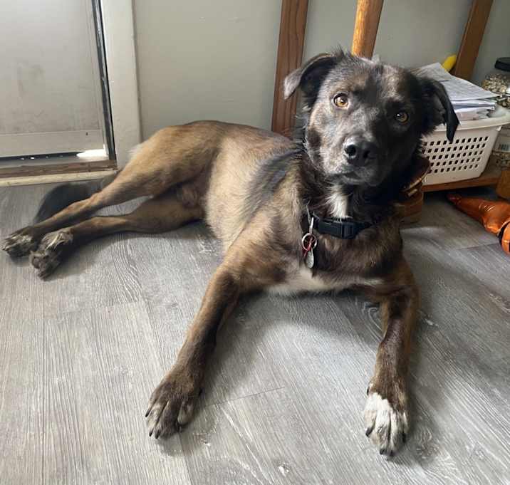 Photo of Oso