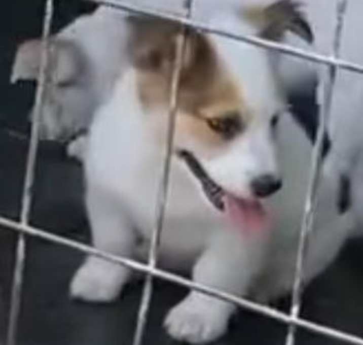 Photo of Bingo