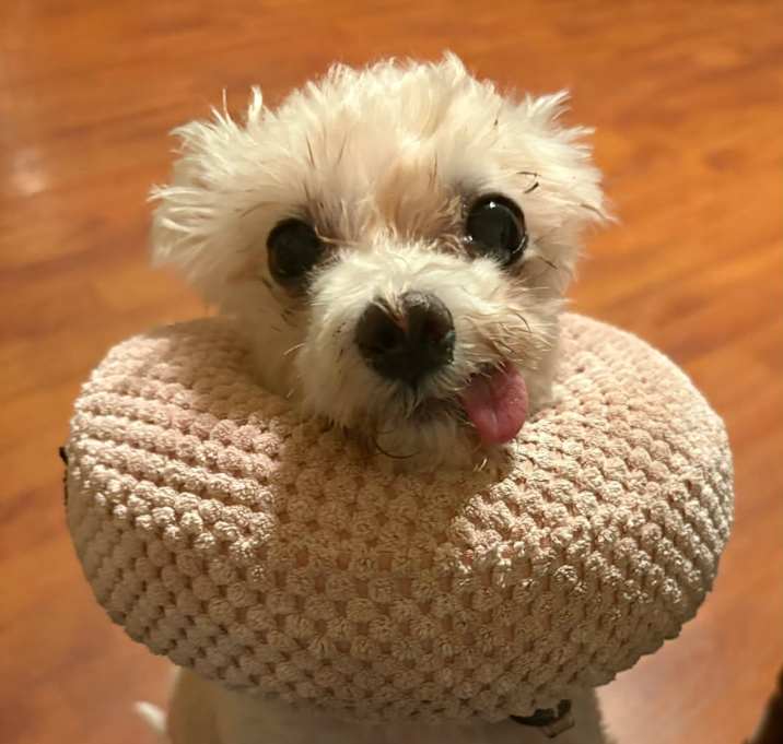 Photo of Lumen