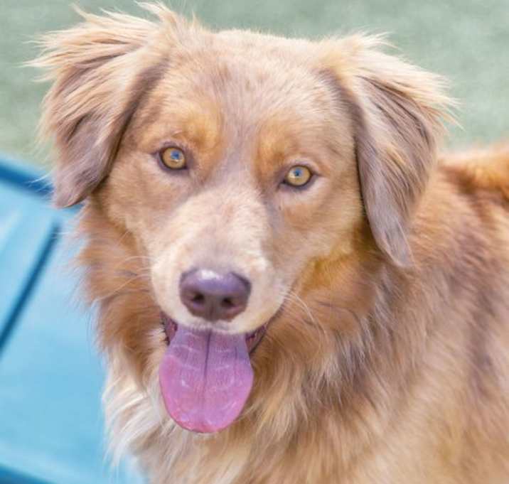 Photo of LUCKY