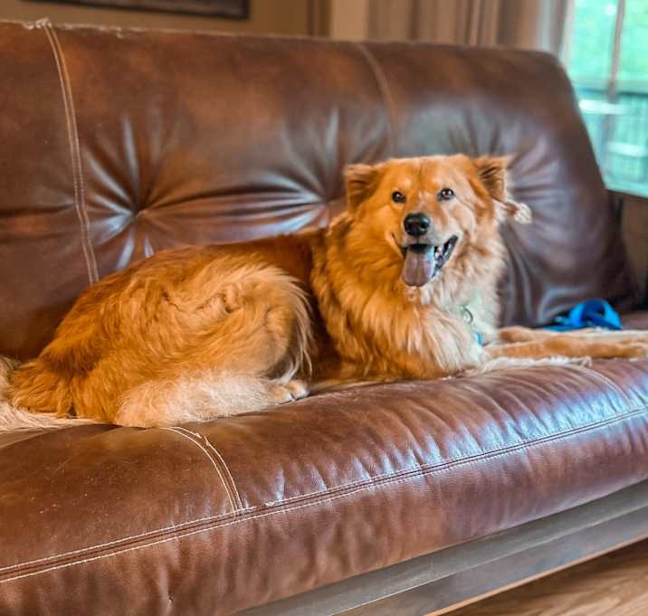 Photo of Red