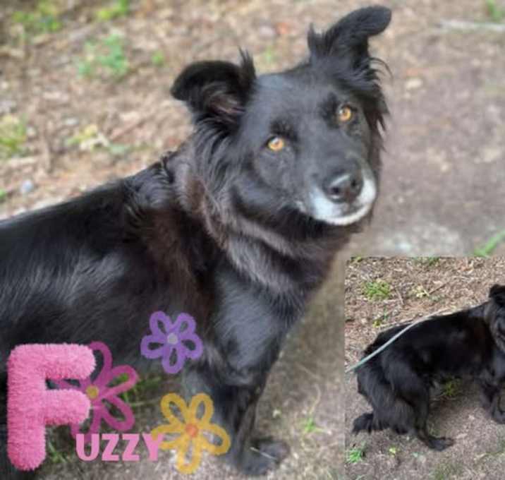 Photo of Fuzzy