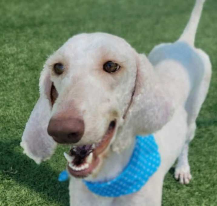 Photo of Sally