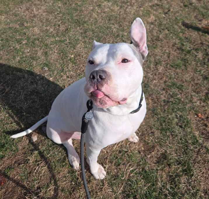 Photo of Rex