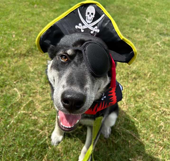 Photo of Charlie