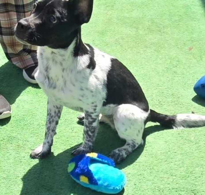 Photo of Wiggles