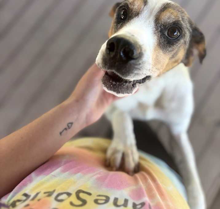 Photo of Hank