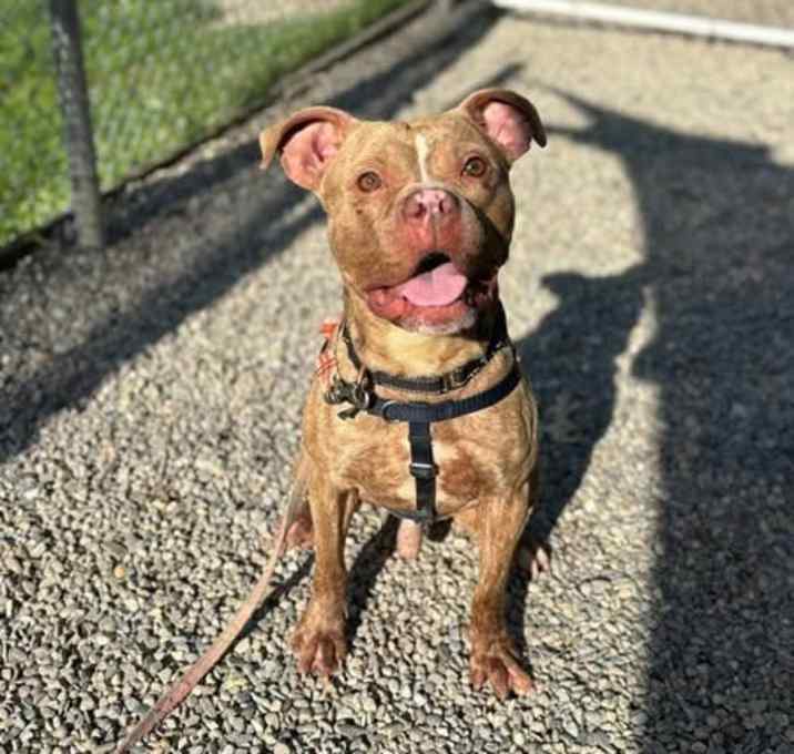 Photo of Eddie