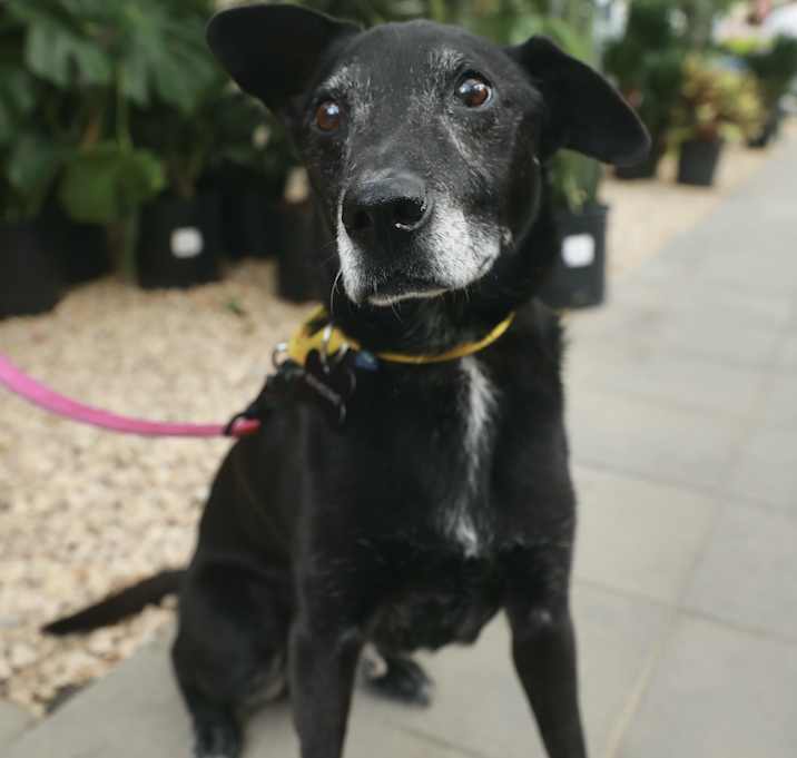 Photo of Pee-Wee