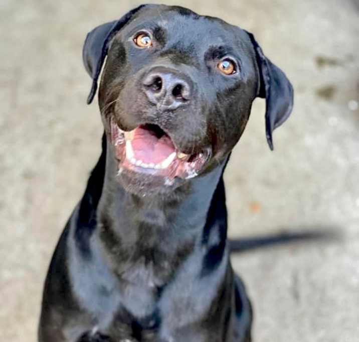Photo of Stormy