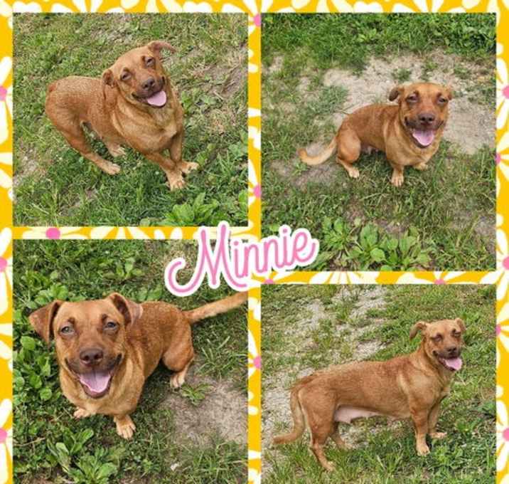 Photo of Minnie