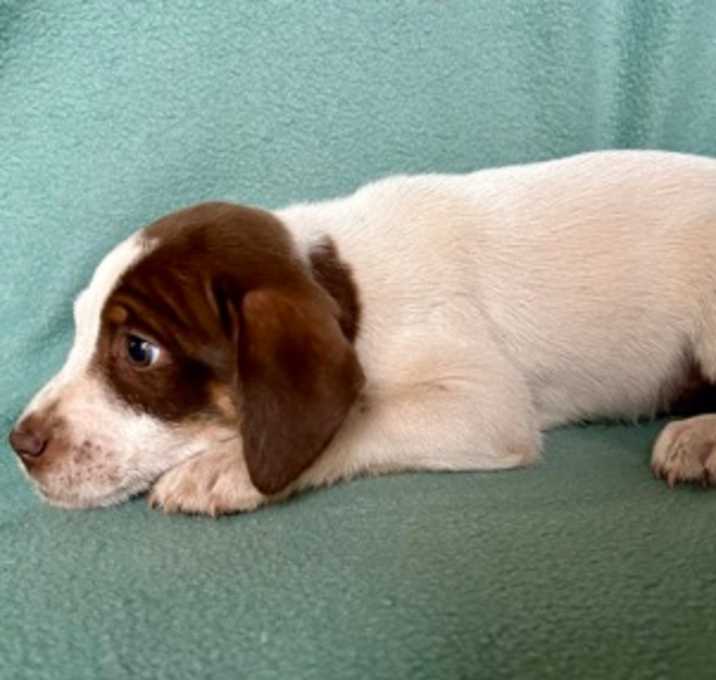 Photo of Doc