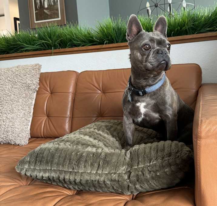 Photo of Blue