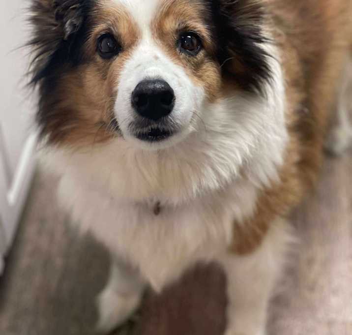 Photo of Miss Cooper