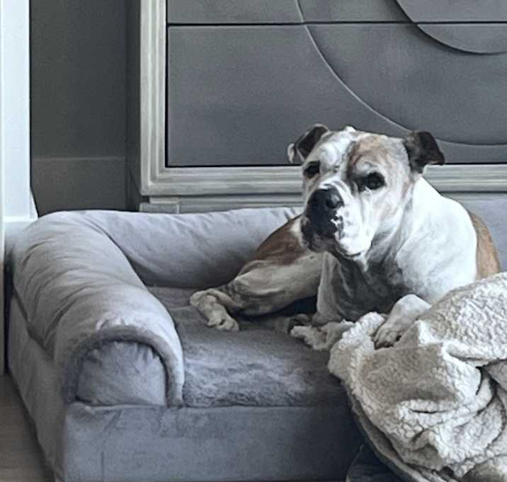 Photo of Dallas
