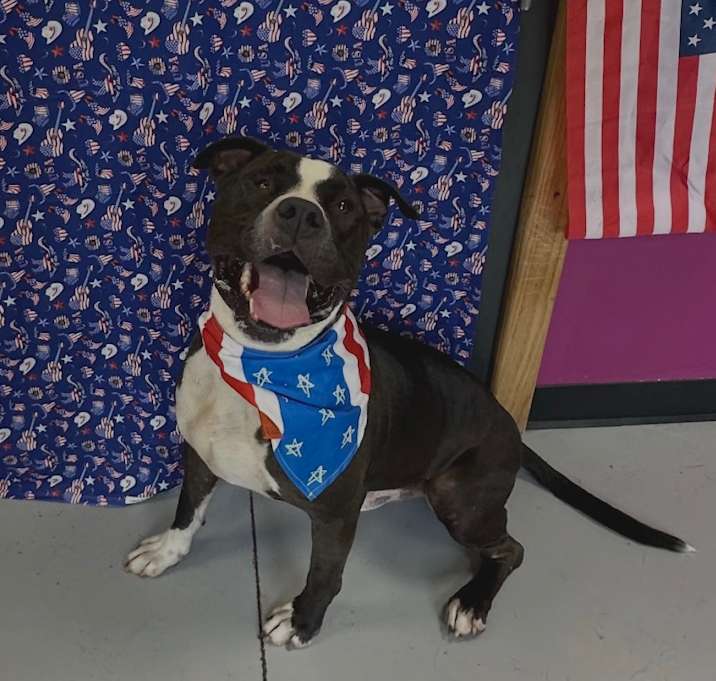 Photo of Beefcake