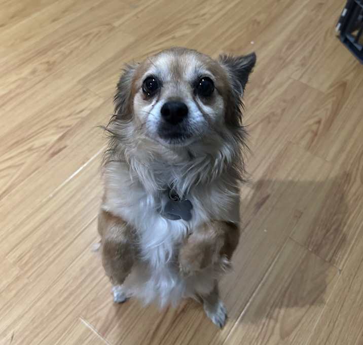Photo of Kash