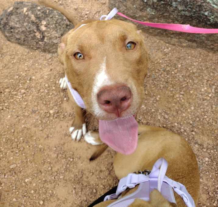 Photo of Annie Mae