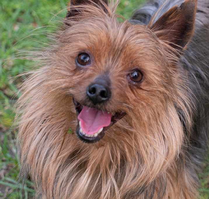 Photo of Geoffrey