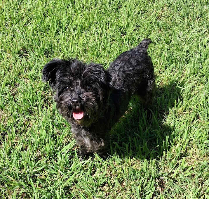 Photo of Lily