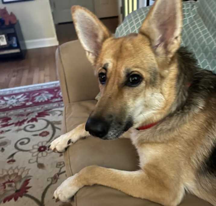 Photo of Keke Lola