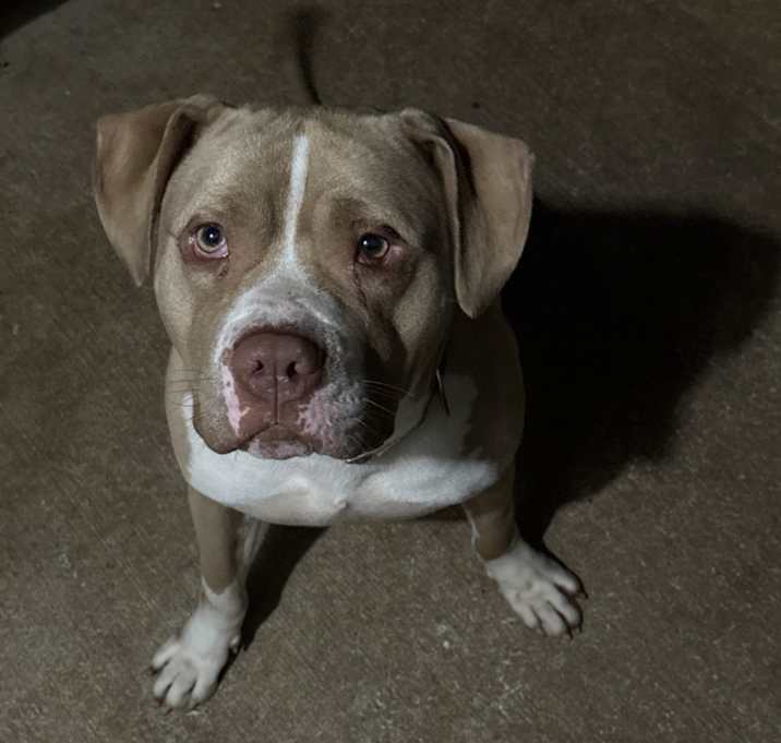 Photo of Leo
