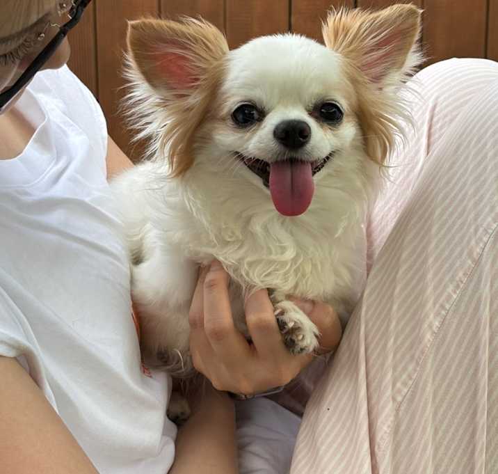 Photo of Jerry