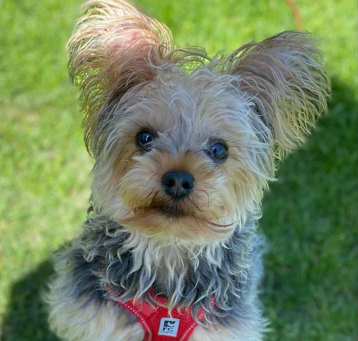 Photo of Paddy
